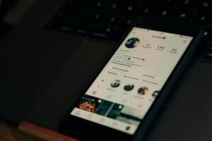 what does pfp mean in text